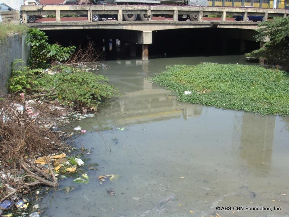 Estero de Paco MRF Pool before the clean up.