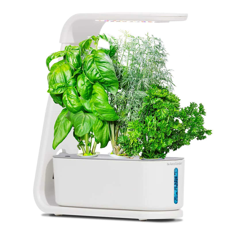 AeroGarden Sprout