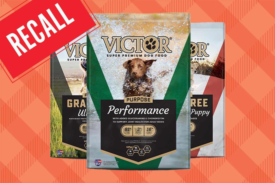 <p>Victor Pet Food</p>