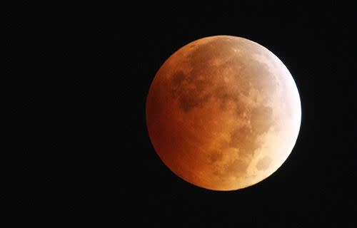 The October 8 'blood moon'. <i>Image: David McNew/Getty Images</i>