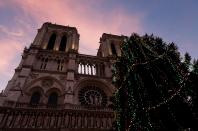 Pink clouds fill the sky at sunrise above the Notre Dame Cathedral near a decorated Christmas tree as part of the holiday season in Paris, December 12, 2013. REUTERS/Philippe Wojazer (FRANCE - Tags: CITYSPACE TRAVEL)