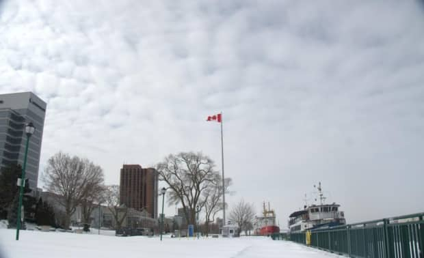 A winter snowfall in Windsor is shown in a file photo. Environment Canada says five centimetres are in the forecast for Tuesday night. (Jennifer La Grassa/CBC - image credit)