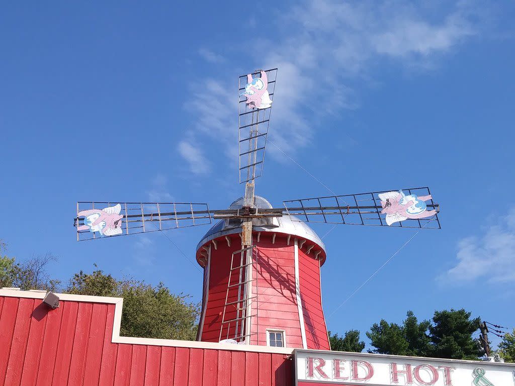Maryland: Flying Pig Windmill