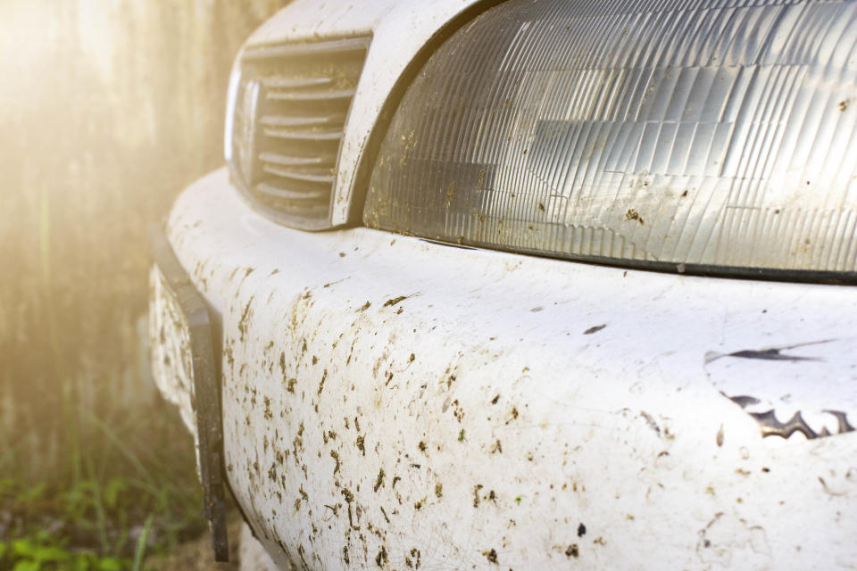 Dirty car bumper with mud splatters. Source: Getty Images