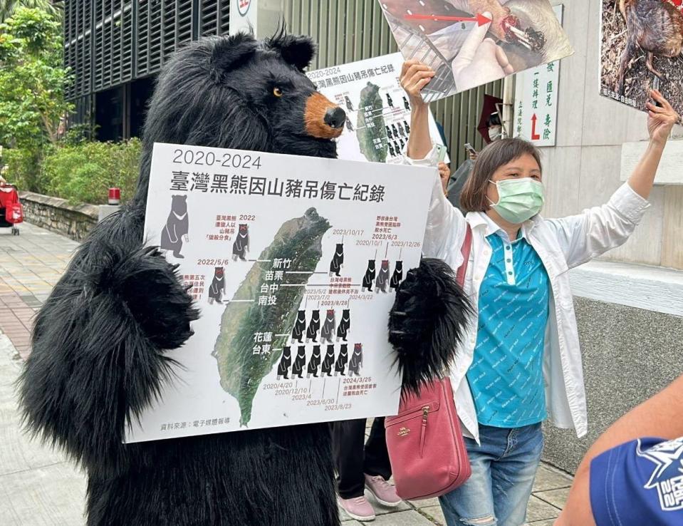 ▲動團推估，據統計近四年來共16隻珍貴保育動物台灣黑熊誤觸非人道獵具，其中5隻死亡，去年數量更攀升高達9隻。