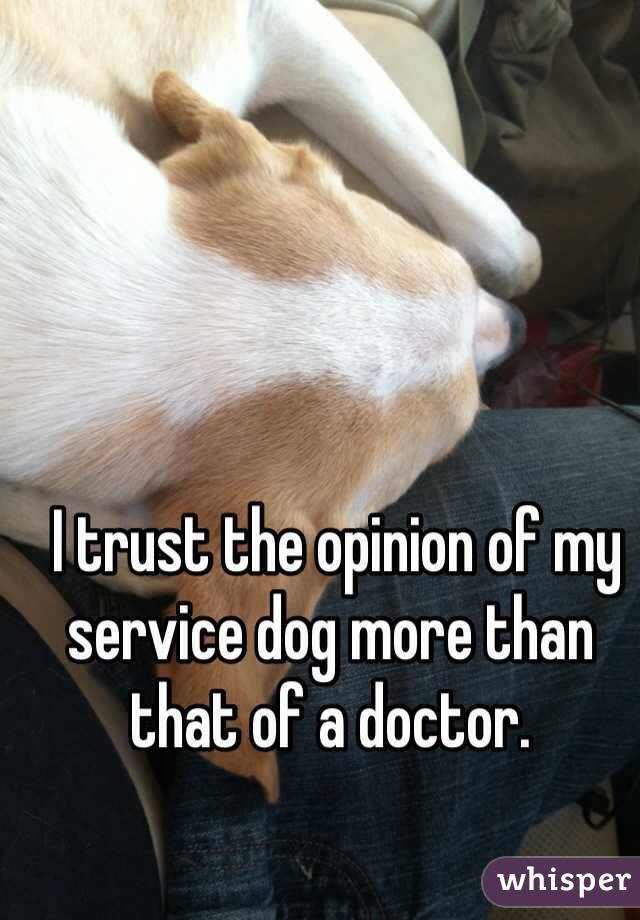  I trust the opinion of my service dog more than that of a doctor.