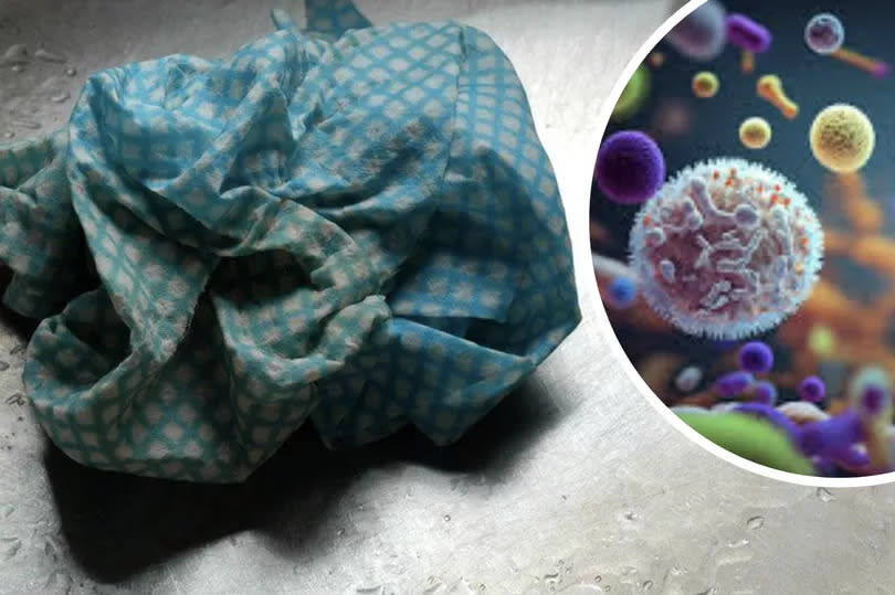 Dishcloths can carry more bacteria than your toilet