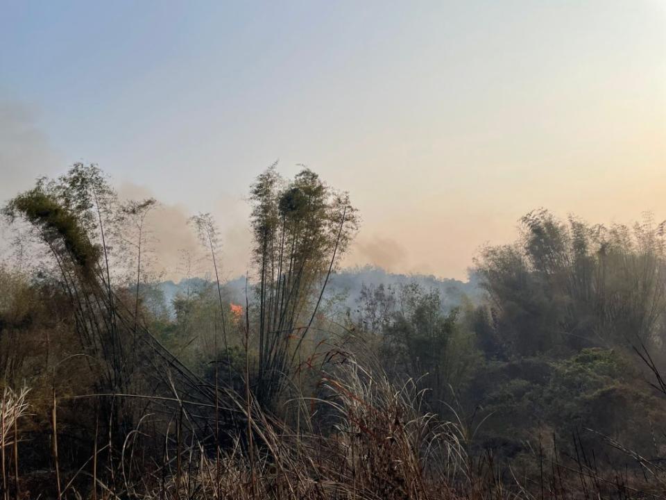 新化區知義里口埤段混雜林處發生山林火警。（民眾提供）