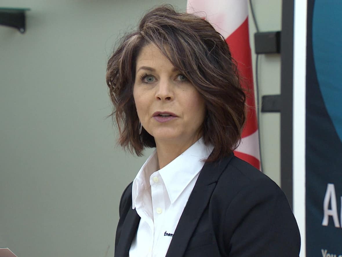 New interim N.B. Power president Lori Clark has her hands full dealing with the utility's significant financial problems, which have been made worse this spring and summer by an overtime and overbudget maintenance shutdown at Lepreau . (Roger Cosman/CBC - image credit)