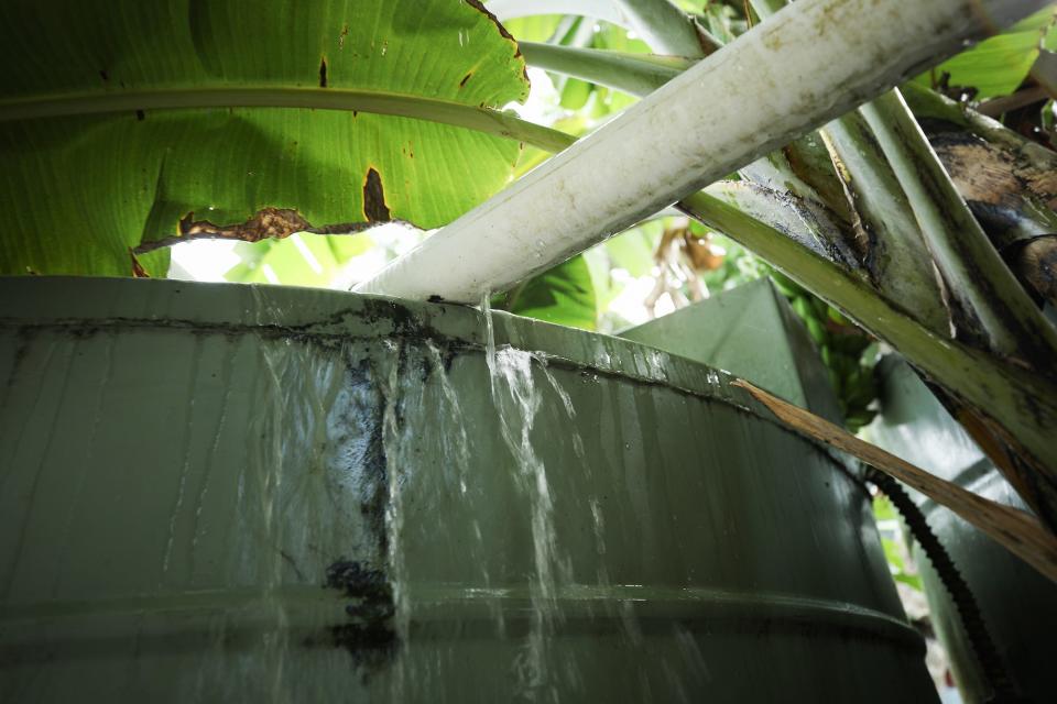 Rainwater overflows out of a storage tank while being collected on November 24, 2019 in Funafuti, Tuvalu.