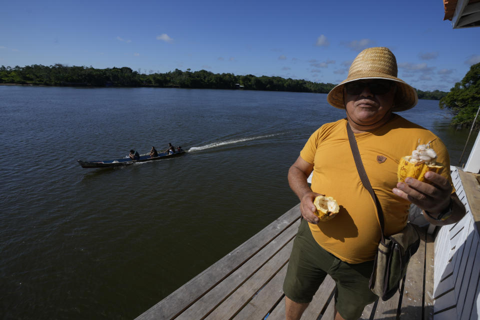 Cesar De Mendes, owner of the cacao processing company De Mendez Chocolates, shows an holds a cocoa fruit after it was harvested by hand at Sitio Gimaia Tauare, on the island of Tauare, in the municipality of Mocajuba, Para state, Brazil, Friday, June 2, 2023. He’s hoping customers will appreciate how different microclimates and soil conditions across the region subtly impact the flavor of the chocolate. “You can taste the different environments,” he says. (AP Photo/Eraldo Peres)