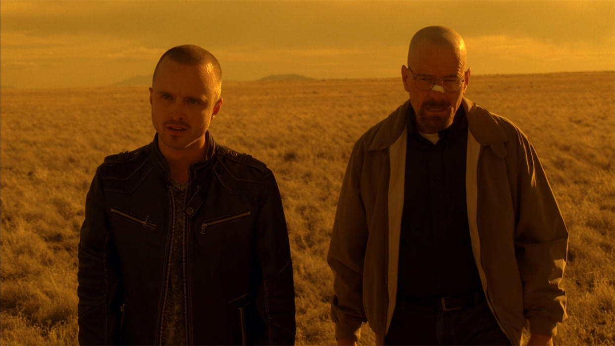  Walt and Jesse in Breaking Bad. 