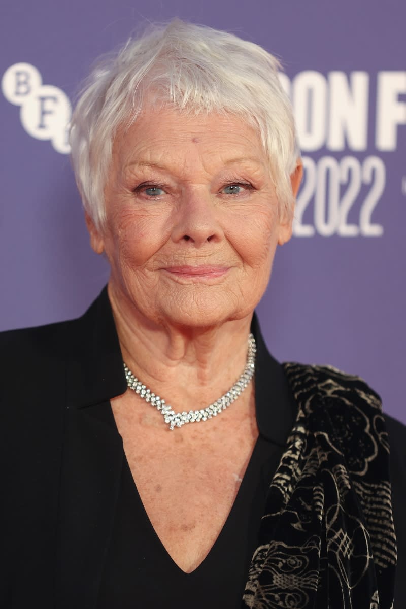 Judi Dench is pictured with grey hair whilst attending the 