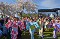 <p><em>April 27 to 28</em></p><p><a href="https://sakurafestival.dk/" rel="nofollow noopener" target="_blank" data-ylk="slk:Cophenhagen Sakura Festival;elm:context_link;itc:0;sec:content-canvas" class="link ">Cophenhagen Sakura Festival</a>, which takes place in the city's popular Langelinie Park, offers up a <a href="https://www.womansday.com/life/travel-tips/g872/fun-summer-activities/" rel="nofollow noopener" target="_blank" data-ylk="slk:variety of activities;elm:context_link;itc:0;sec:content-canvas" class="link ">variety of activities</a>, split between two stages and the park's lawn. Learn Japanese calligraphy, watch Kendo sword-fighting, and don't be afraid to join in on the "group" folk dance. </p>