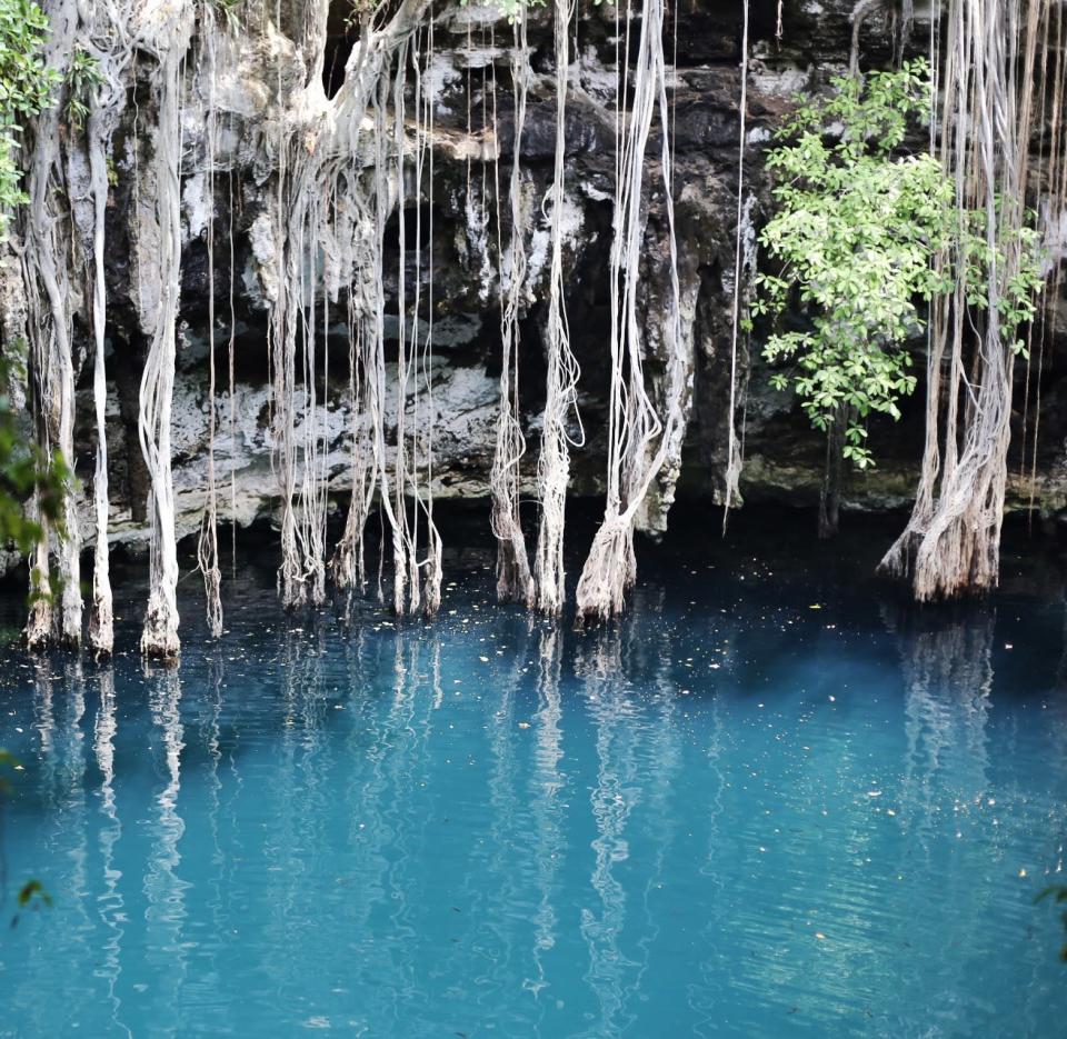 <p>There are thousands of cenotes in Tulum but this one, <a rel="nofollow noopener" href="http://cenoteyokdzonot.weebly.com/home.html" target="_blank" data-ylk="slk:Yokdzonot" class="link ">Yokdzonot</a>, is perhaps the most beautiful. Located only a couple hours outside of Tulum (and a 20 minute drive from Chicen Itza), this most impressive cenote (a natural fresh water pit/sinkhole) offers crystal blue waters which you can swim in amongst a beautiful jungle setting. Fun fact: the water from this cenote and others are what comes out the taps in most area hotels – it’s that clean! </p>