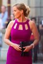 <p>Sophie, Countess of Wessex attended an event at the Royal Academy of the Arts wearing a gorgeous magenta cut out dress. Her <a href="https://www.goodhousekeeping.com/uk/fashion-beauty/hair-advice/a26283323/award-season-hair-trends/" rel="nofollow noopener" target="_blank" data-ylk="slk:chic up-do" class="link ">chic up-do</a> and subtle earrings give the outfit a mature but elegant look. <br></p>