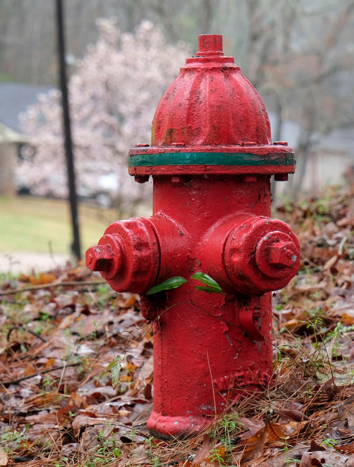 Hydrant flushing begins in Portsmouth on Monday, April 1.