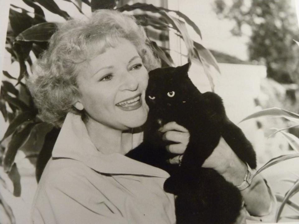 Betty White with her cat, T.K. White. The late American entertainment icon was an animal lover and inspired many to donate to animal groups this week.  (Submitted by Adam McCarron - image credit)