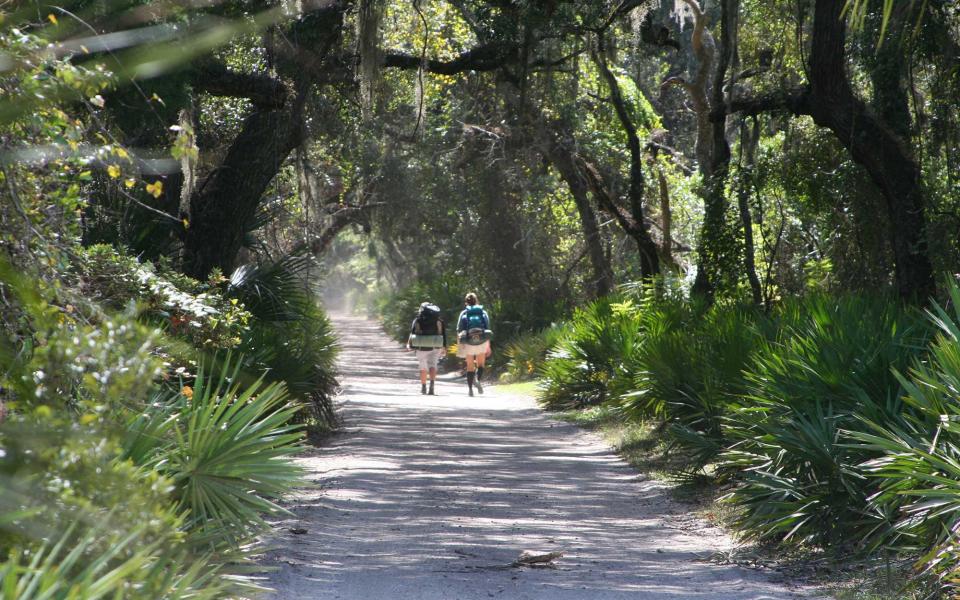 Cumberland Island, Georgia