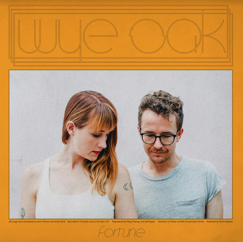 Wye Oak Fortune Track Artwork