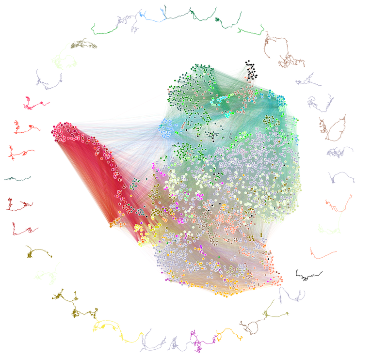 Network diagram of brain connections