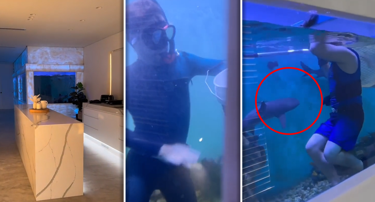 aussie-millionaire-responds-to-outrage-over-cruel-living-room-shark