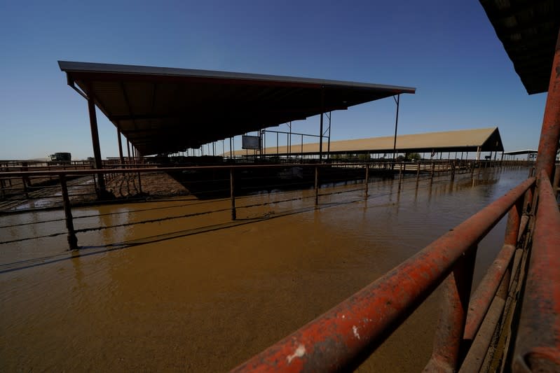 Animal waste is shown flowing to methane collecting ponds at a dairy farm in Pixley, California