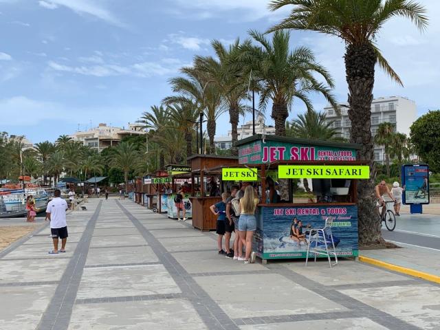 Murcia Today - <span Style='color:#780948'>archived</span> - British  Tourist Loses Two Fingers Following Spider Bite In Ibiza