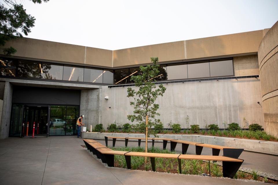 An Oregon white oak is planted near the main entrance of the Salem Public Library, which is set to open Friday with limited in-person services.