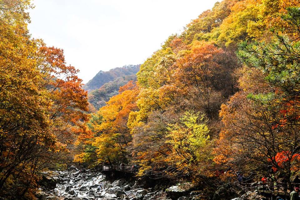 智異山（Image Source : Getty Creative/iStockphoto）