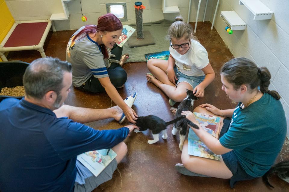 The Thibodeaux family from Breaux Bridge reads and plays with the kittens in one room at Acadiana Animal Aid, in which children and parents read with cats in their shelter as a part of its Kitty Litter-ature program, Saturday, June 25, 2022.