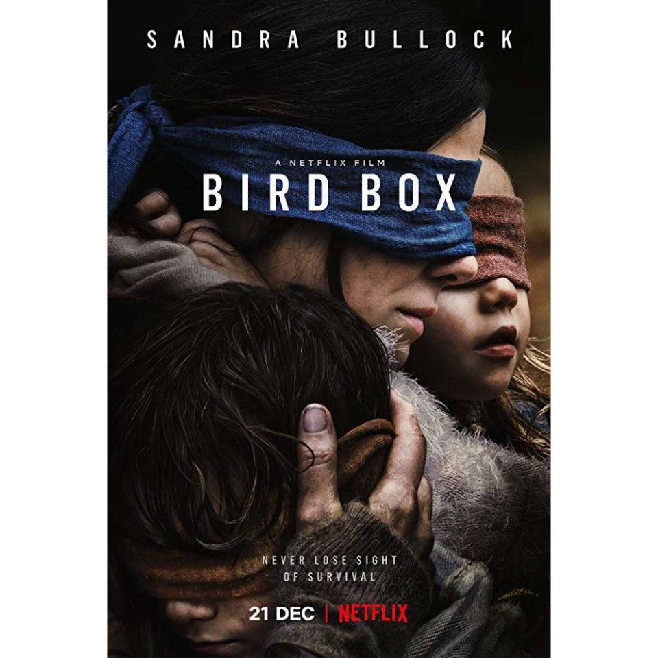 'Bird Box'