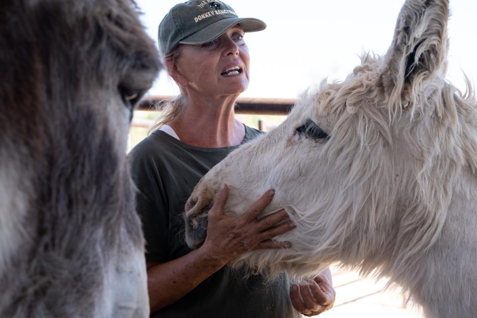 A portrait of Rose Carroll at her Hangry Donkey Sanctuary on June 22, 2023, in Rio Verde Foothills.