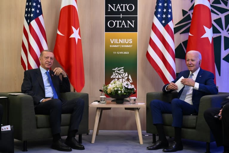 Erdogan and Biden last met at the NATO Summit in Vilnius in July 2023 (ANDREW CABALLERO-REYNOLDS)