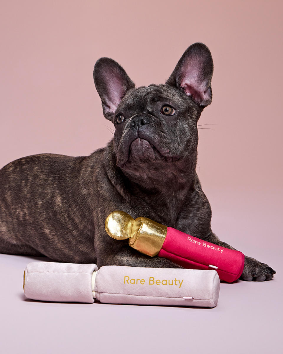 Rare Beauty : nos amis à quatre pattes ont eux aussi le droit à leurs accessoires 