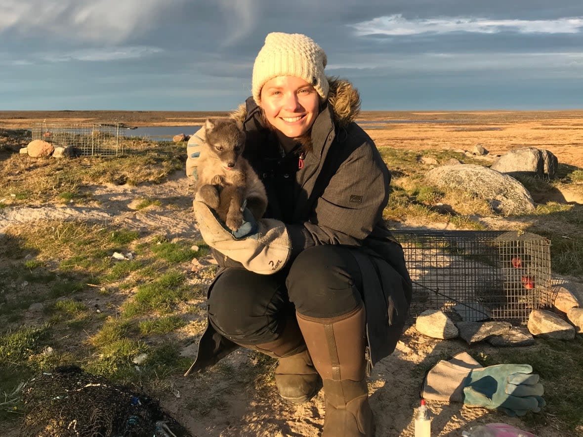 Kayla Buhler, a veterinary researcher at the University of Saskatchewan, is aiming to help build a collection of baseline data on pathogens and disease in Arctic animals, to help track future changes. (Robin Owsiacki - image credit)