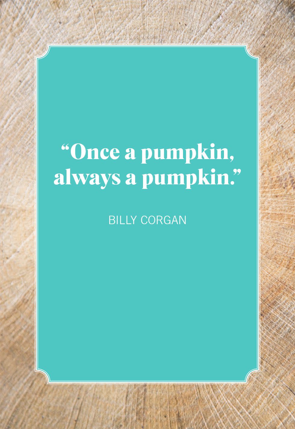 billy corgan pumpkin quotes