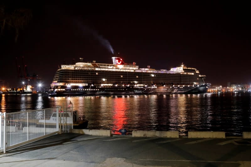 The cruise ship 'Mein Schiff 2' of the company TUI Cruises docks at dawn in Malaga port