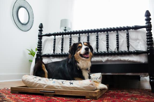 <p><a href="https://www.hgtv.com/lifestyle/family/pets/diy-sliding-dog-trundle-bed" data-component="link" data-source="inlineLink" data-type="externalLink" data-ordinal="1">HGTV</a></p>