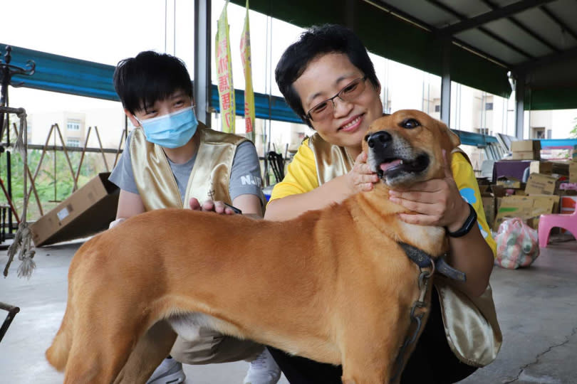 志工在園區內訪視時，狗狗興奮地上前互動並貼在志工身上撒嬌，令志工們的心倍感溫暖。（圖／道家人文協會提供）