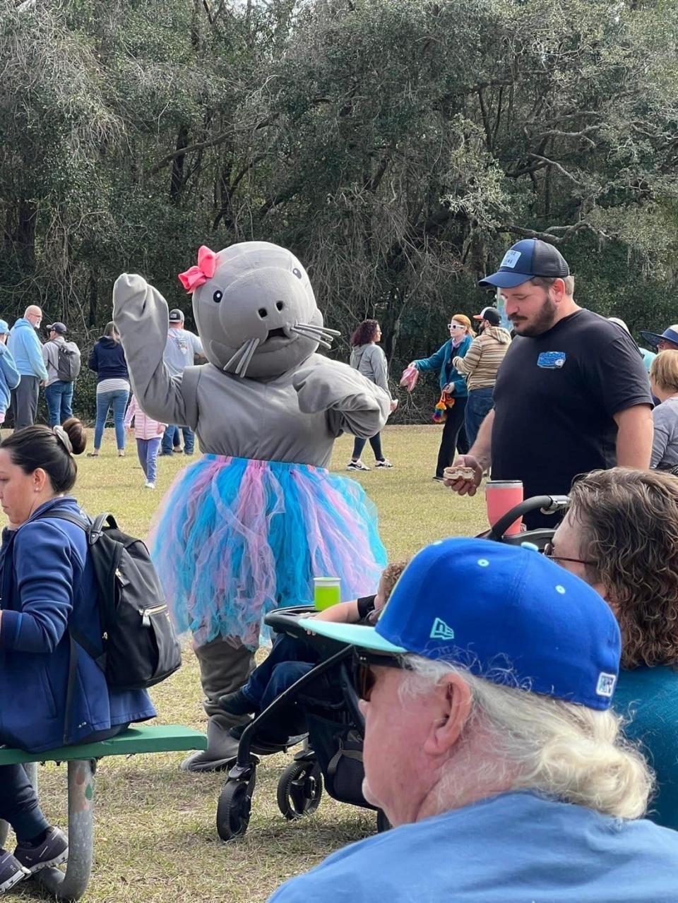 Millie, the festival mascot, during the Orange City Blue Springs Manatee Festival in 2023.