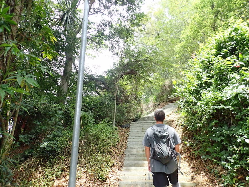 苗栗老崎古道（頭份後花園步道）