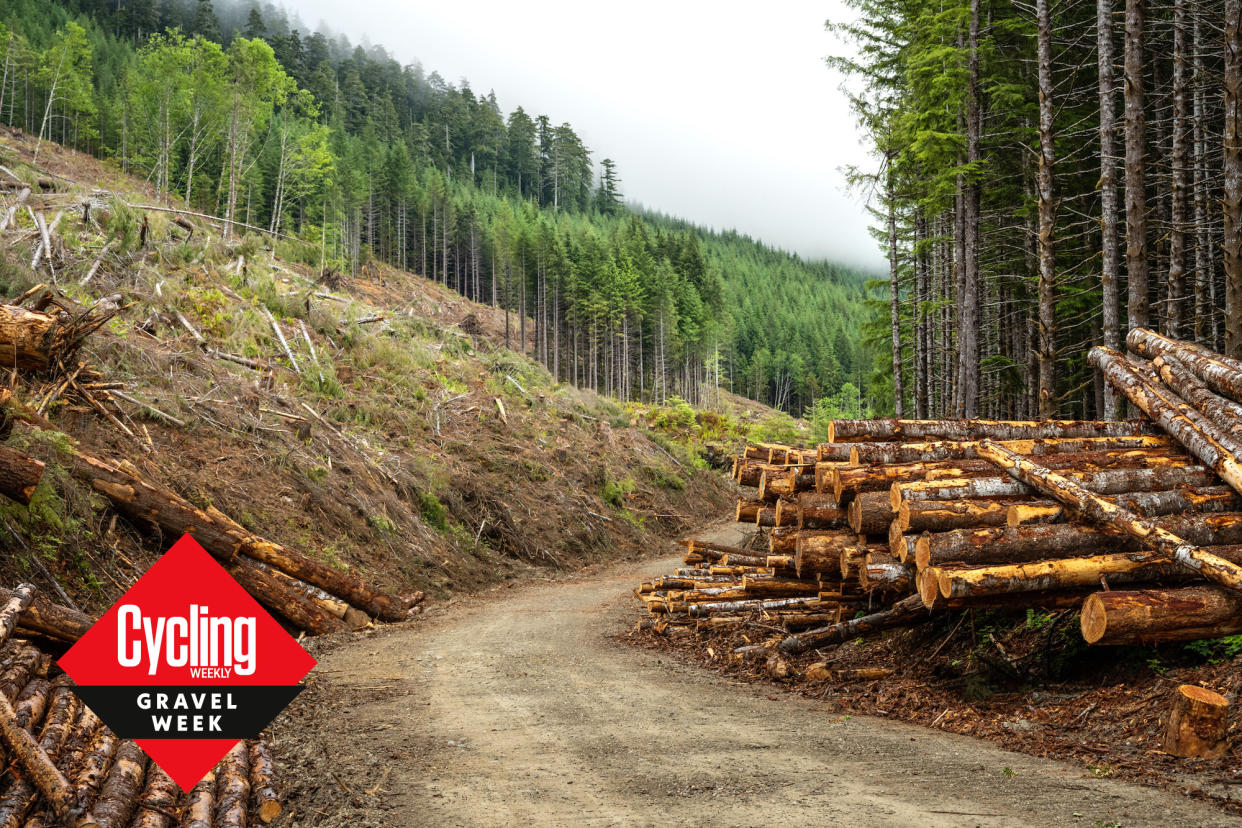  A gravel logging road on Vancouver Island, BC 