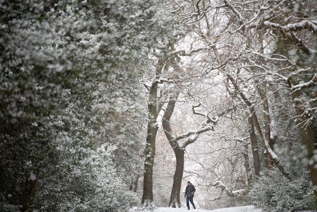 Snow falls as people walk in Sutton Park in Birmingham 