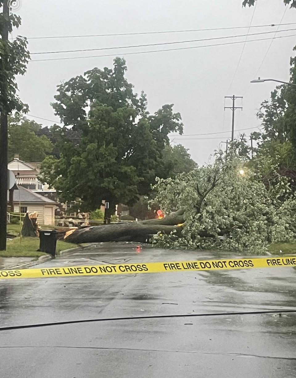 A downed tree in the roadway in Grand Rapids Tuesday, June 25, 2024.