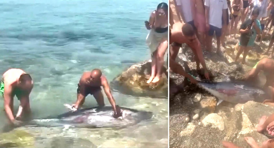 locals stand next to the tuna in shallow water after it reportedly died.