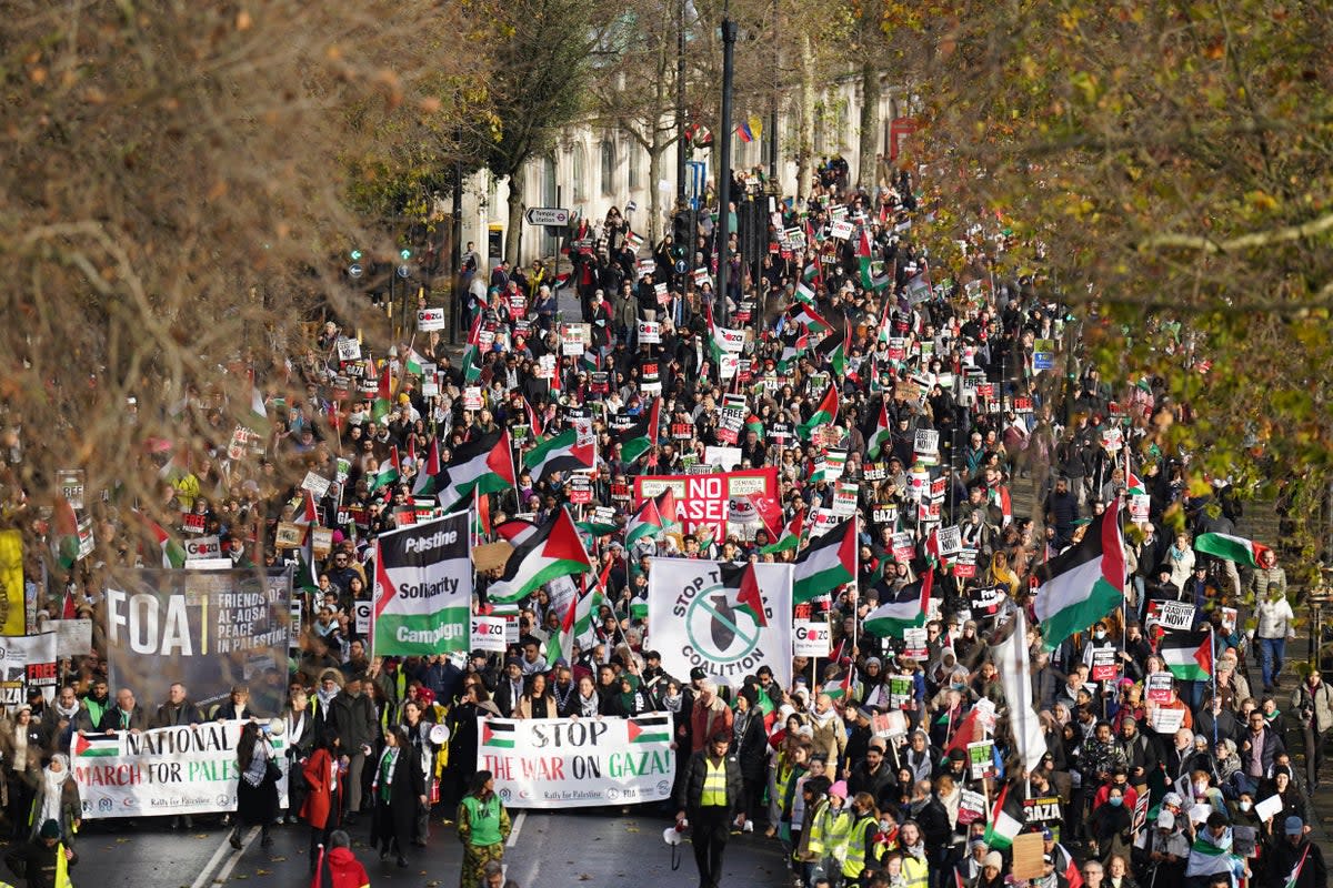 Protesters on the Embankment, London, during a pro-Palestine march, organised by the Palestine Solidarity Campaign  (PA Wire)