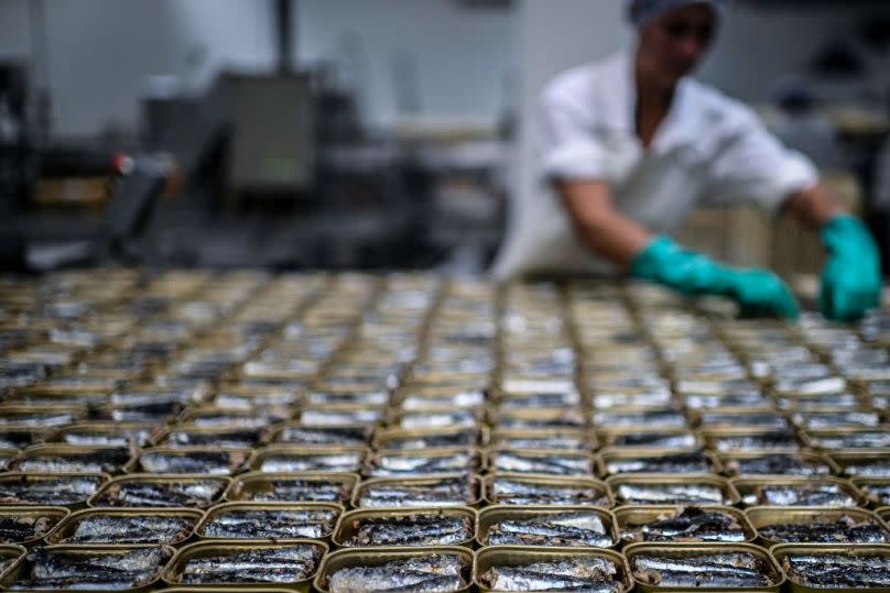 An employee of Thai Union, an international seafood and canned fish company, prepares canned sardines at the company's canned fish factory in Peniche in June