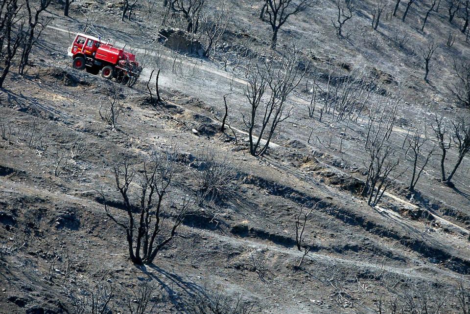 Un camion de pompier emprunte un chemin entre les arbres calcinés dans le Massif des Maures, en 2003.