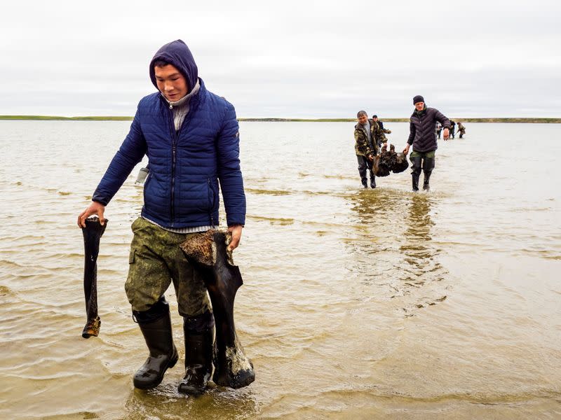 Specialists discover mammoth bones along the shore of Pechevalavato Lake in the Yamalo-Nenets autonomous distric